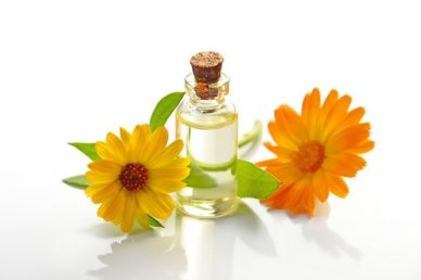 terapia floral